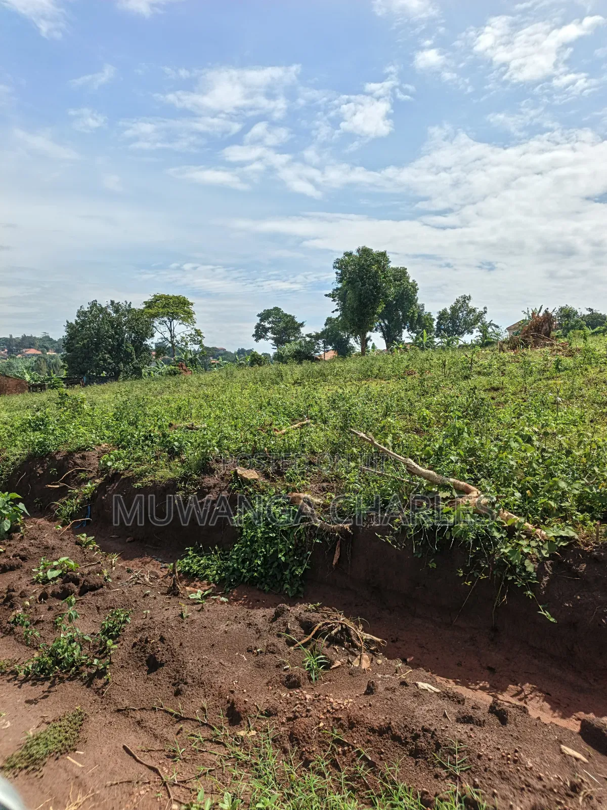 1.5acres of Land on Sale in Kulambilo Kisaasi in Nakawa