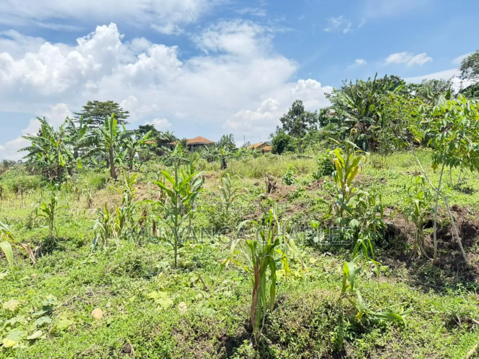 Plot of Land on Sale in Kyanja Kungu in Nakawa