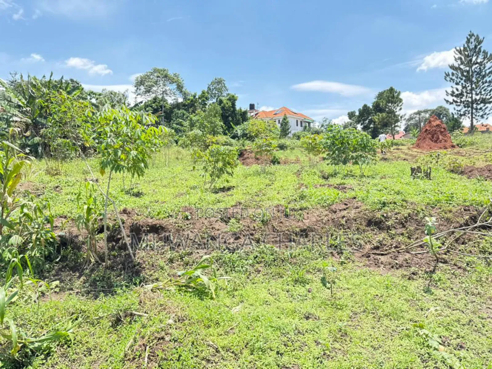 Plot of Land on Sale in Kyanja Kungu in Nakawa
