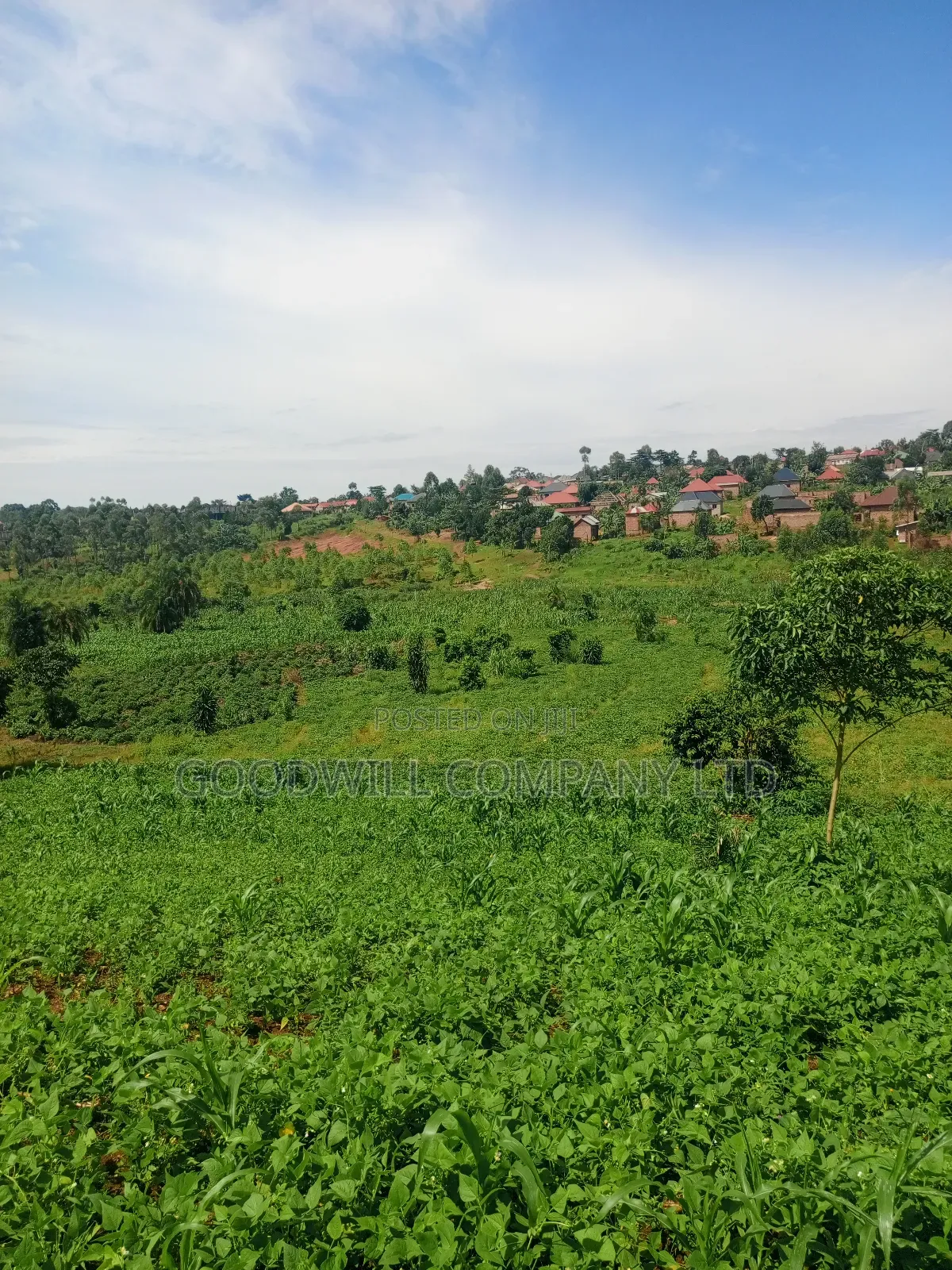 18 Acres of Land in Mbalala Mukono in Central Division