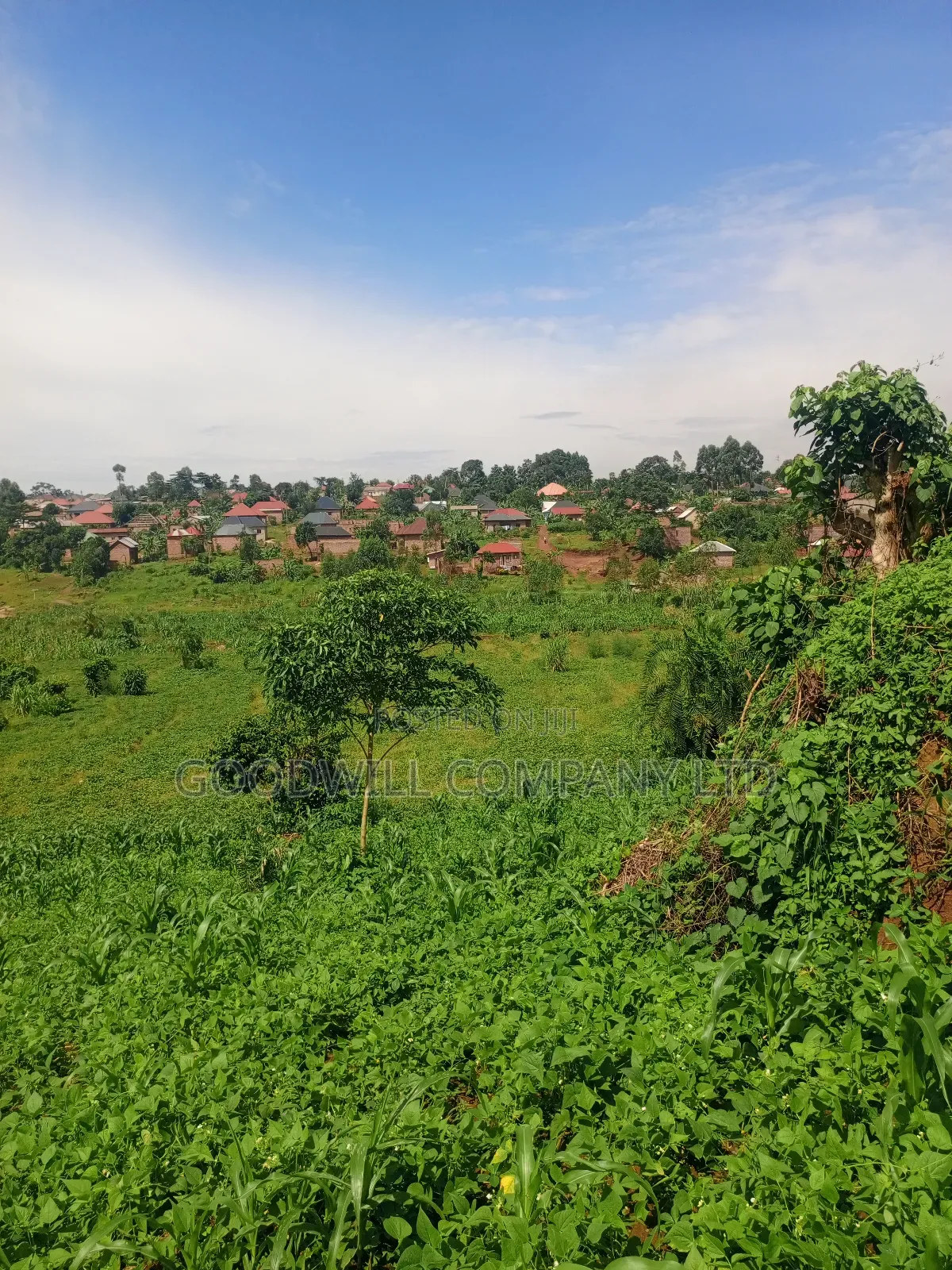 18 Acres of Land in Mbalala Mukono in Central Division