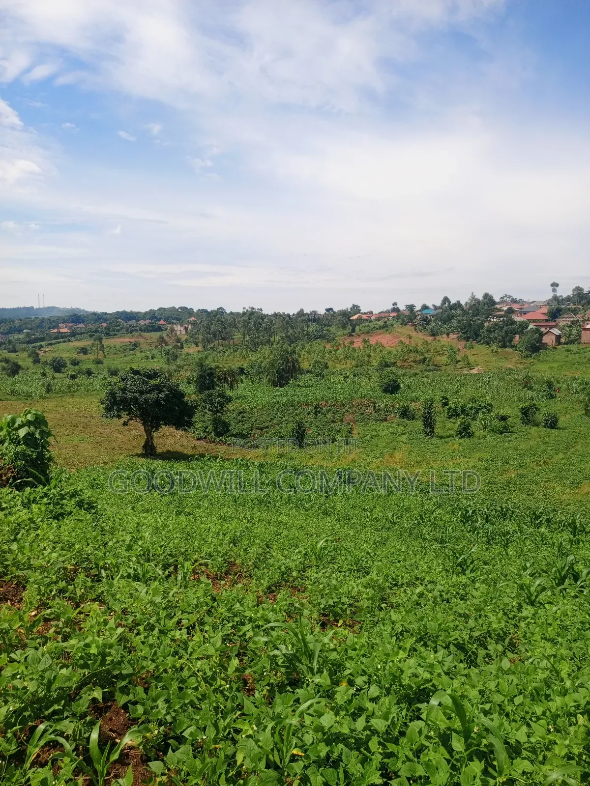 18 Acres of Land in Mbalala Mukono in Central Division