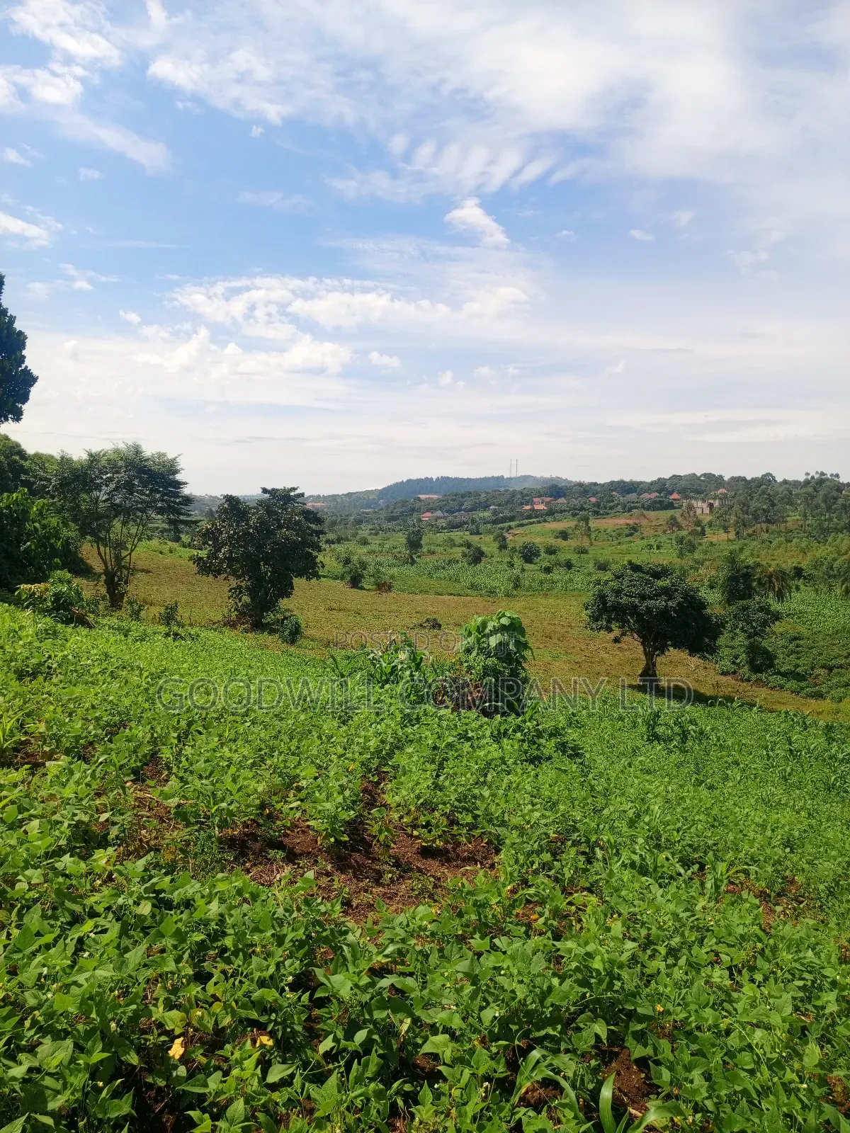 18 Acres of Land in Mbalala Mukono in Central Division