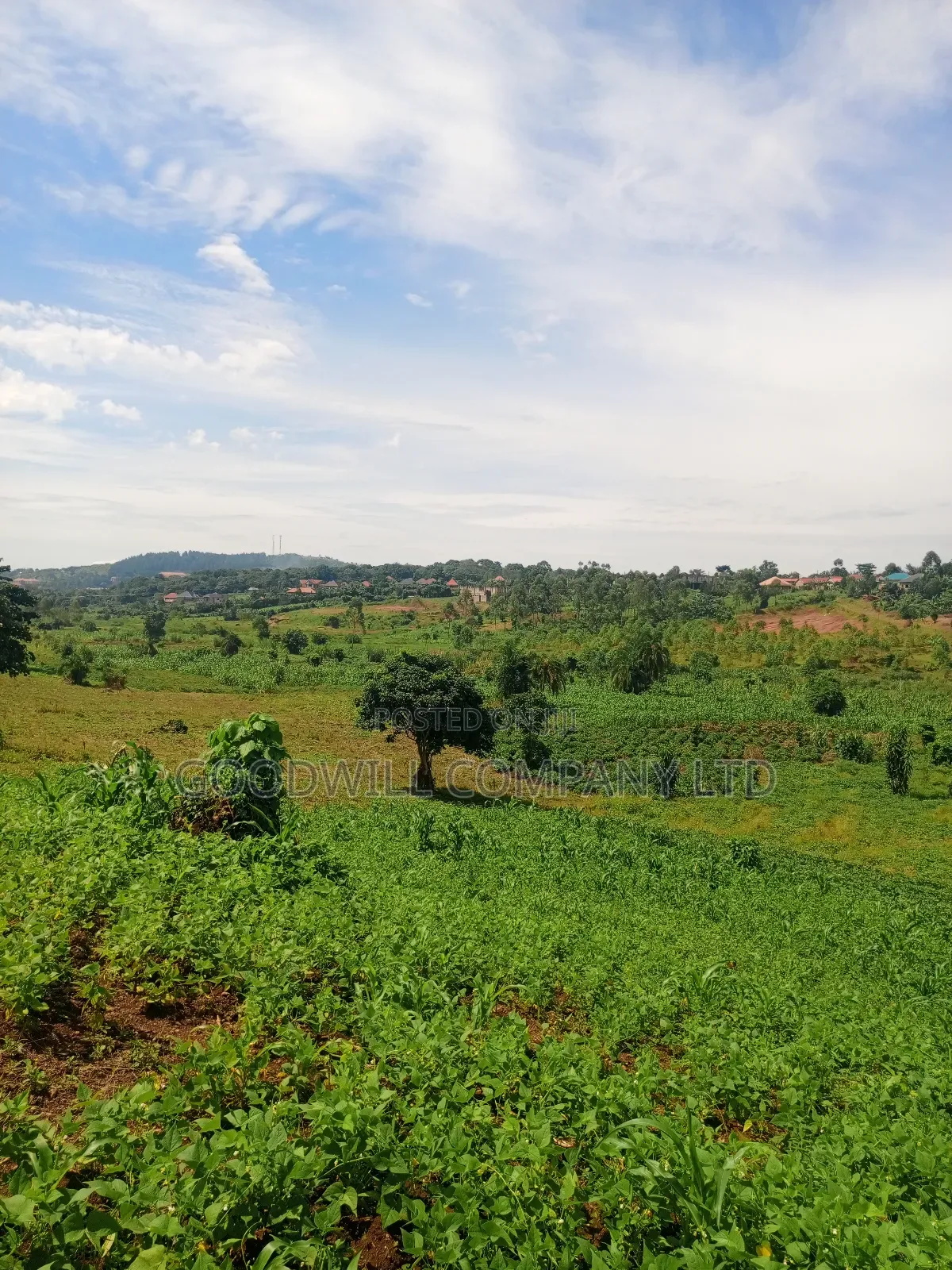 18 Acres of Land in Mbalala Mukono in Central Division
