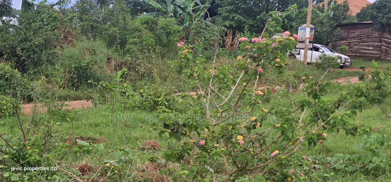 Plots for Sale at Wakiso Near Town in Wakiso / Wakiso