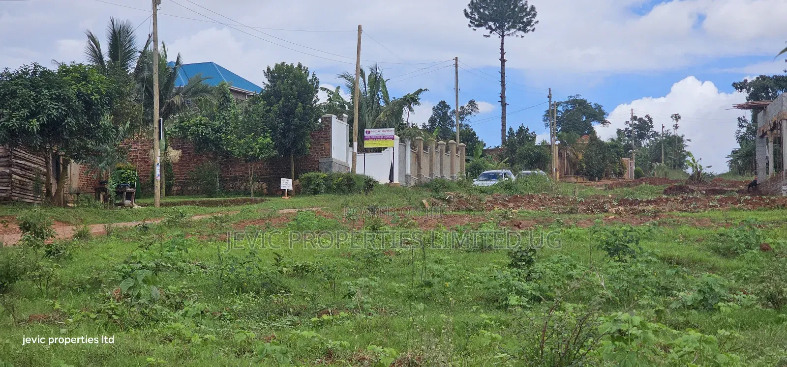 Land for Sale at Namusera (50*100) in Wakiso / Wakiso