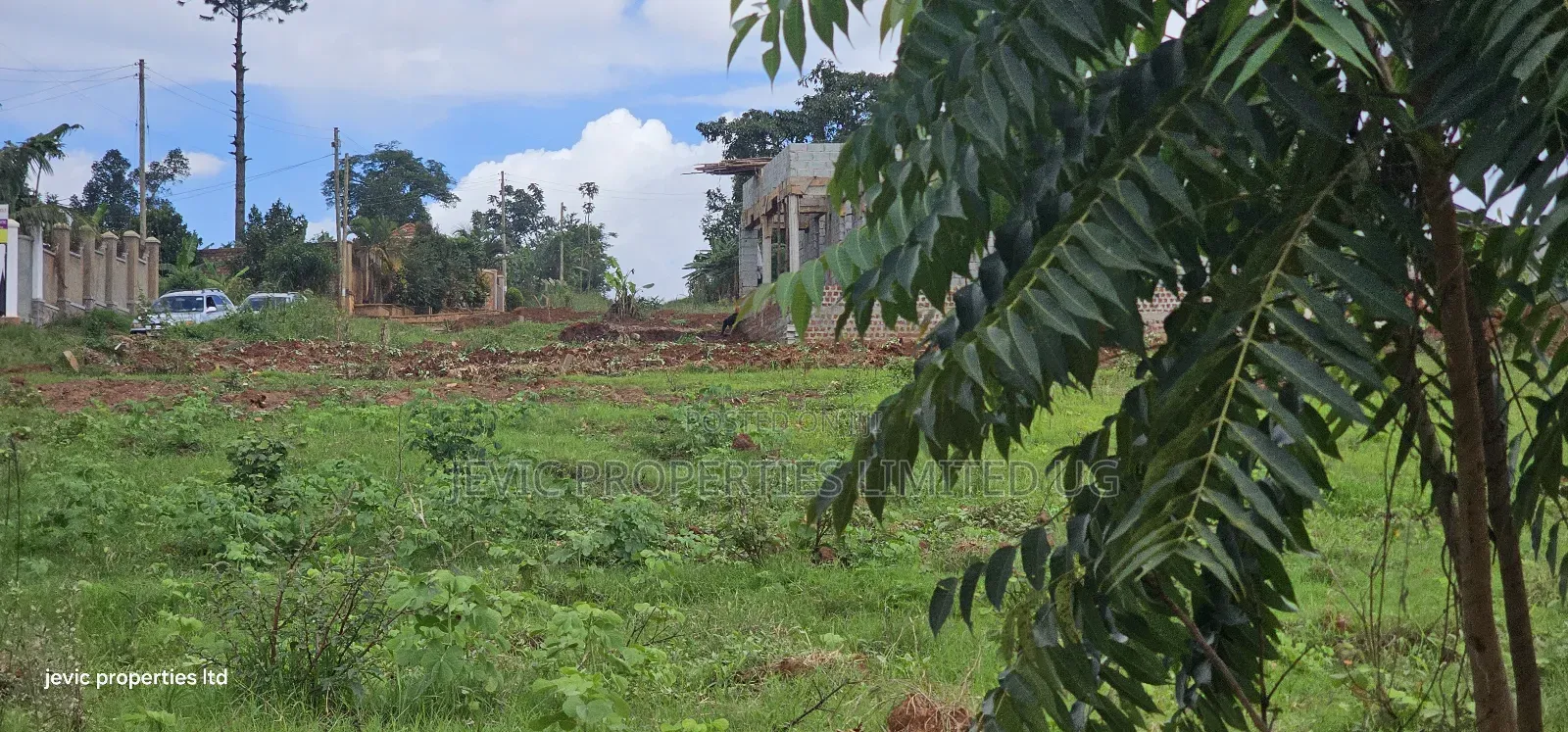 Land for Sale at Namusera (50*100) in Wakiso / Wakiso