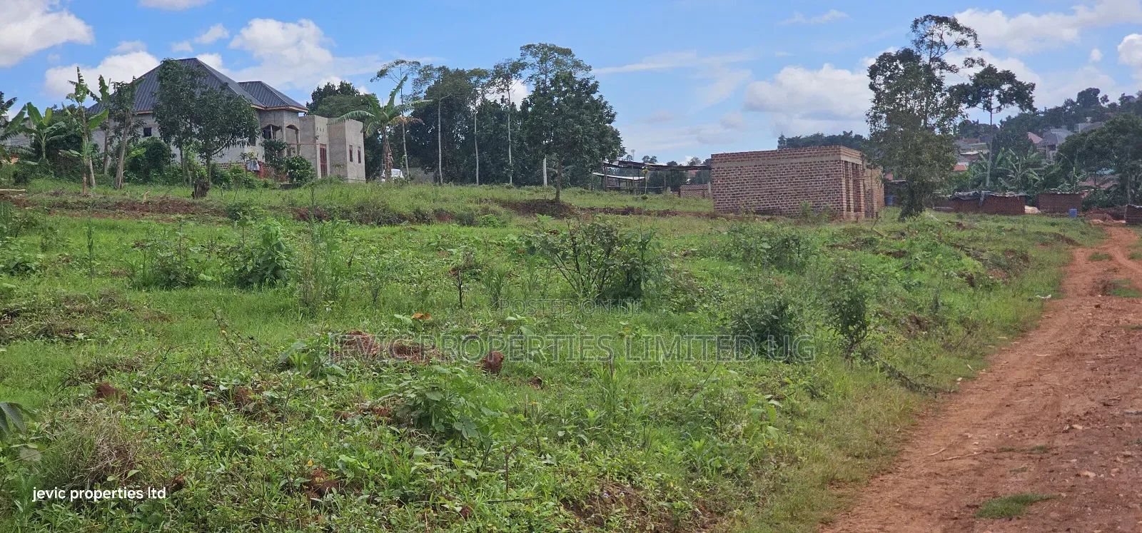 Land for Sale at Namusera (50*100) in Wakiso / Wakiso