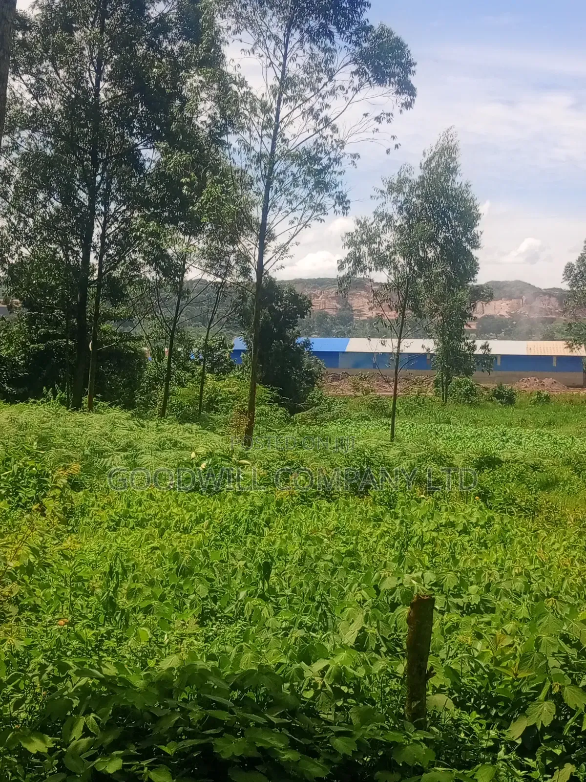 11 Acres of Land in Mbalala Mukono in Central Division