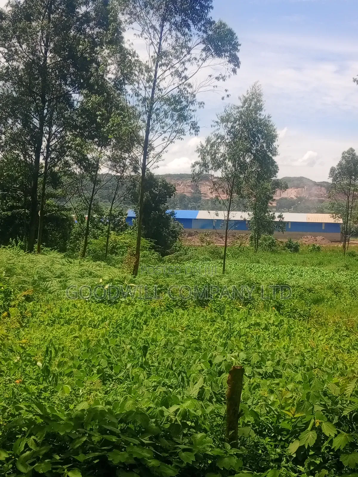 11 Acres of Land in Mbalala Mukono in Central Division