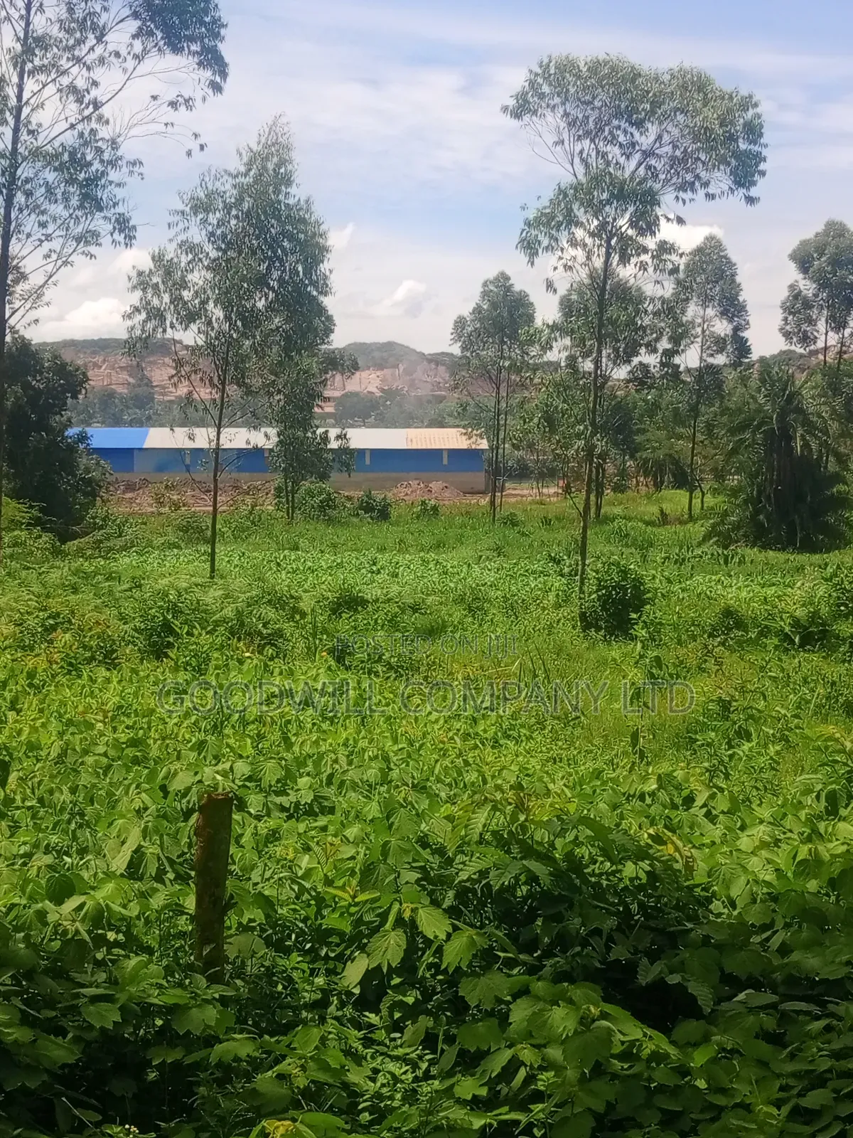 11 Acres of Land in Mbalala Mukono in Central Division