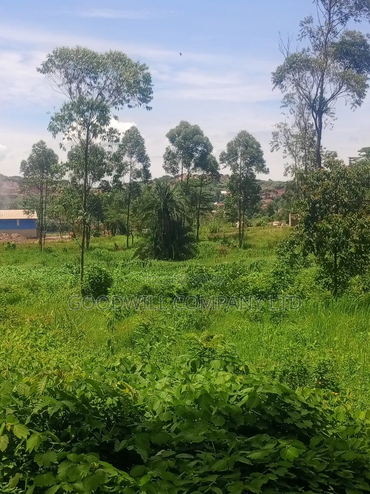 11 Acres of Land in Mbalala Mukono in Central Division