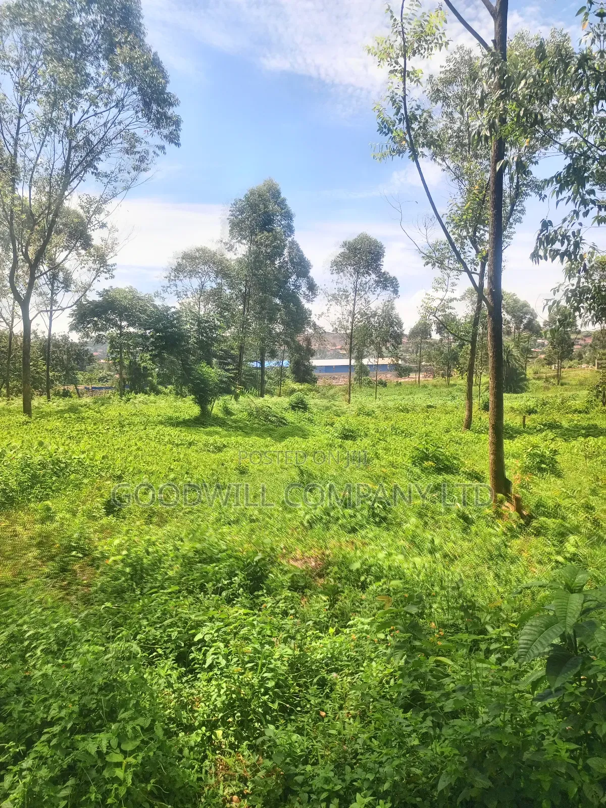11 Acres of Land in Mbalala Mukono in Central Division