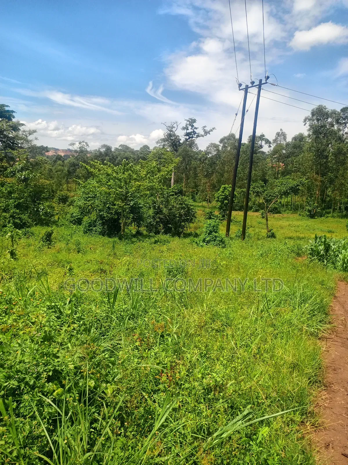 2 Acres of Land in Mbalala Mukono With 3phase Electricity on Ground in Central Division