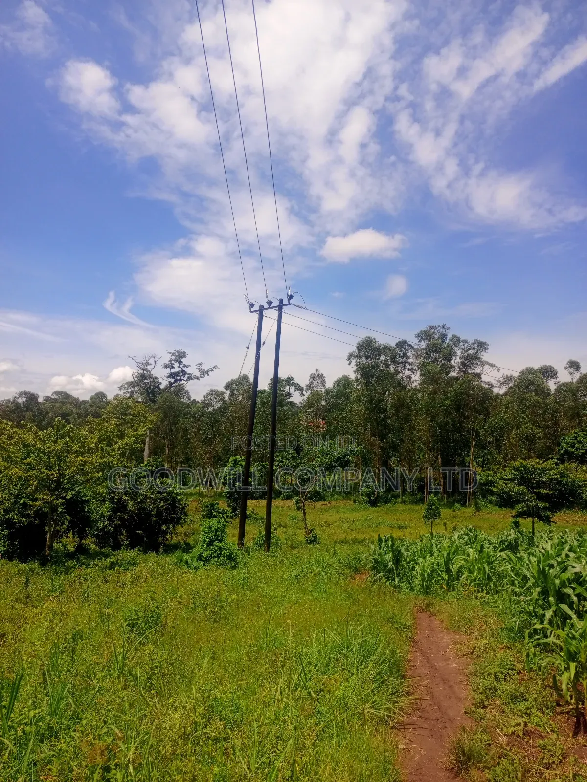 2 Acres of Land in Mbalala Mukono With 3phase Electricity on Ground in Central Division