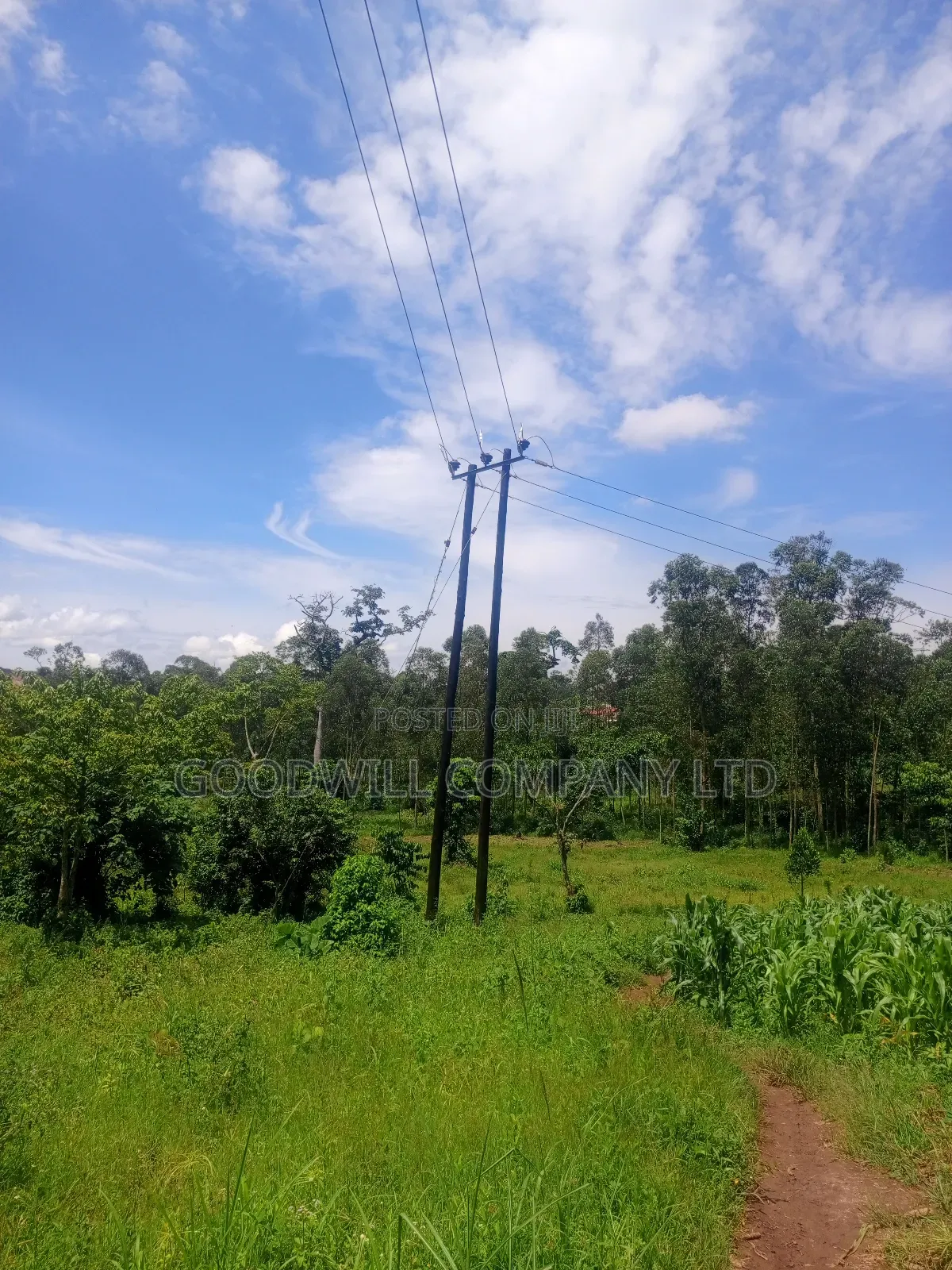 2 Acres of Land in Mbalala Mukono With 3phase Electricity on Ground in Central Division