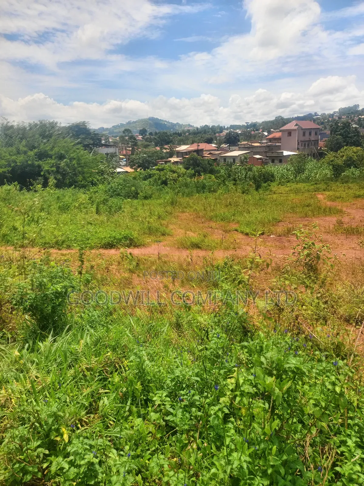 6 Acres of Land in Mbalala Mukono Touching on a Bigger Feeder Road in Central Division