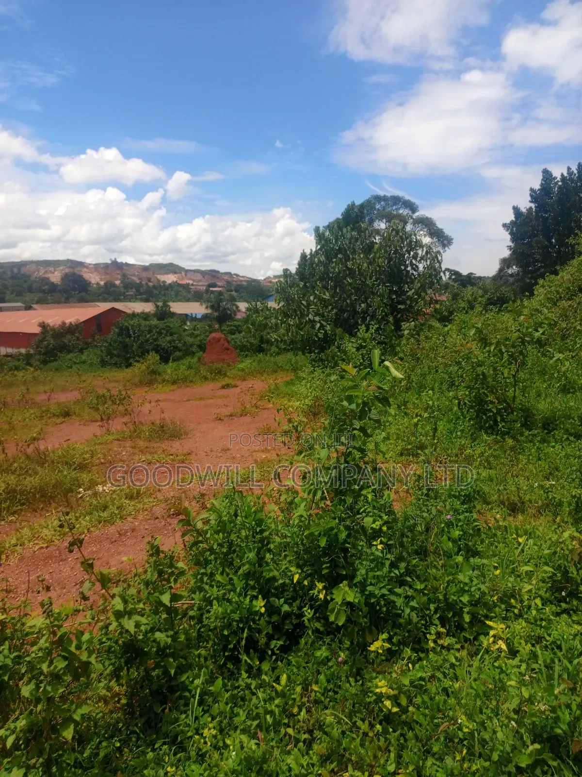6 Acres of Land in Mbalala Mukono Touching on a Bigger Feeder Road in Central Division
