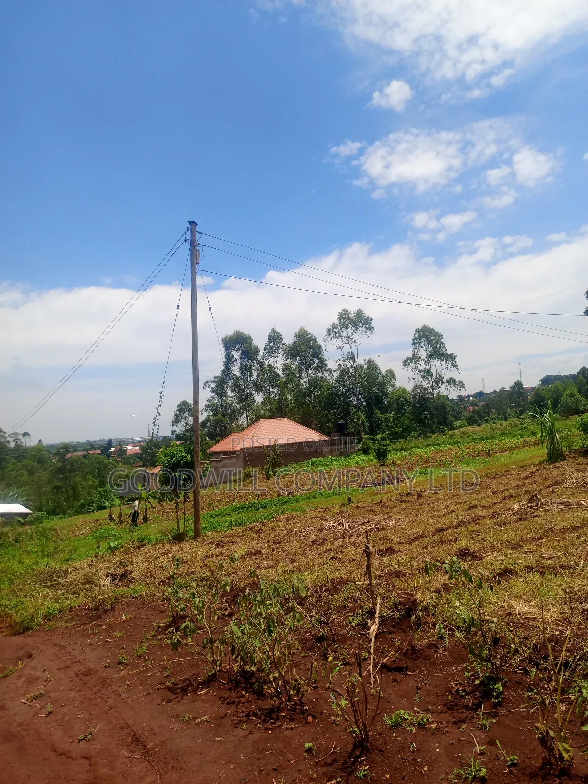 4 Acres of Land in Mbalala Mukono W/T Both Single 3phase Electricity in Central Division
