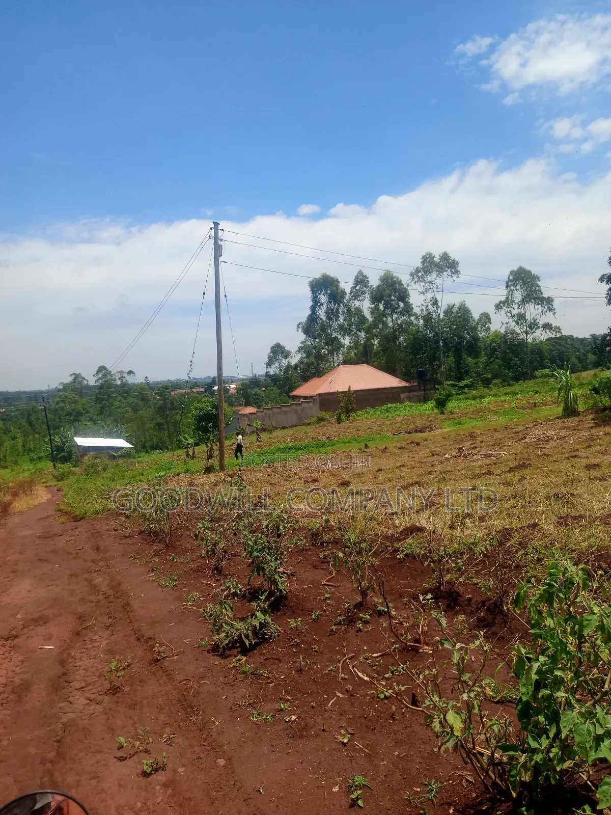 4 Acres of Land in Mbalala Mukono W/T Both Single 3phase Electricity in Central Division