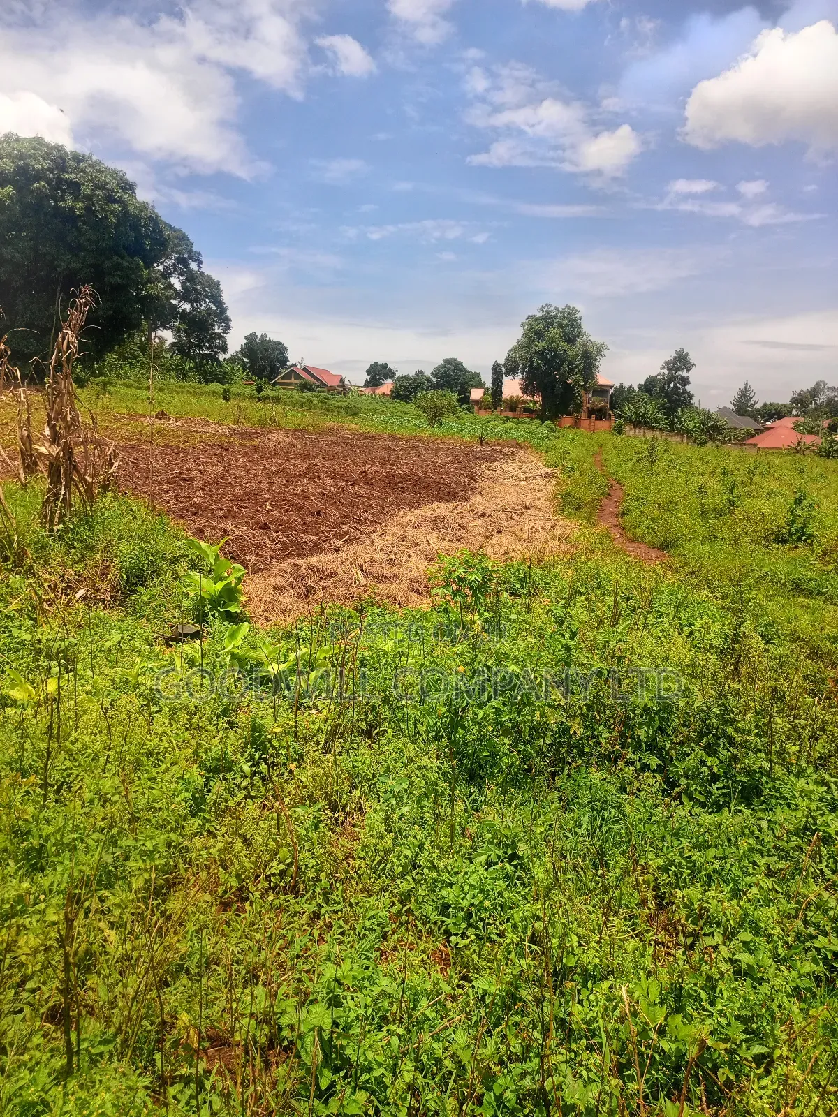 4 Acres of Land in Mbalala Mukono W/T Both Single 3phase Electricity in Central Division