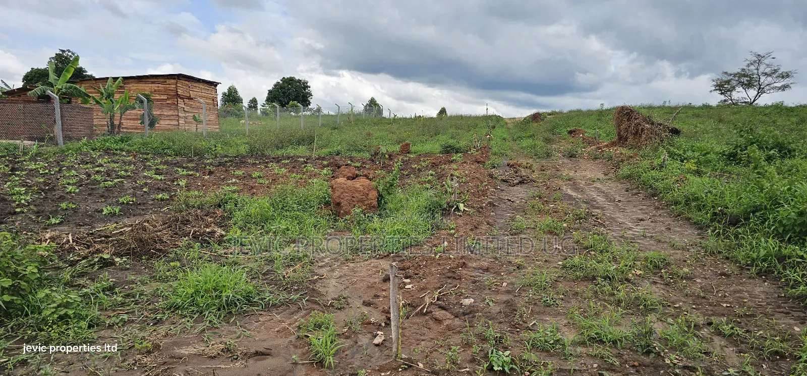 Namayumba Agreement Plot for Sale (Kabaka Land) in Namayumba