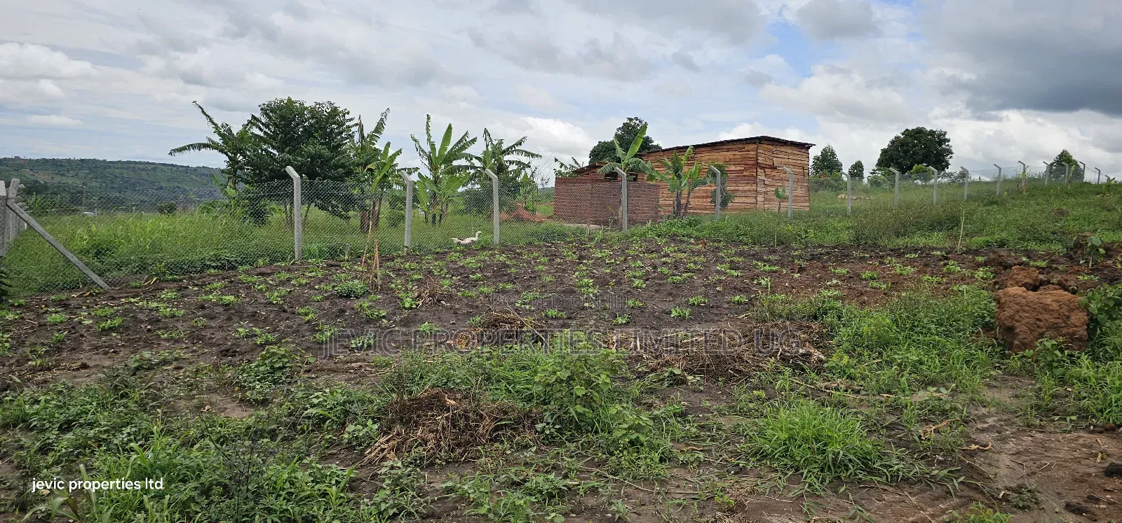 Cheap Plots for Sale at Namayumba in Namayumba