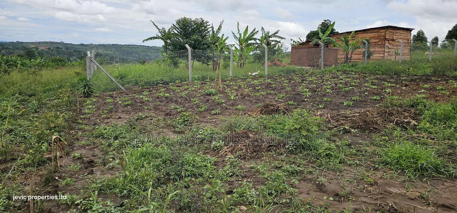 Cheap Plots for Sale at Namayumba in Namayumba