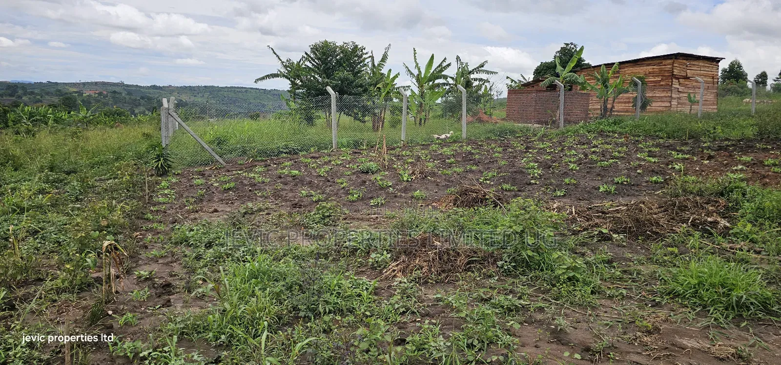 Cheap Plots for Sale at Namayumba in Namayumba
