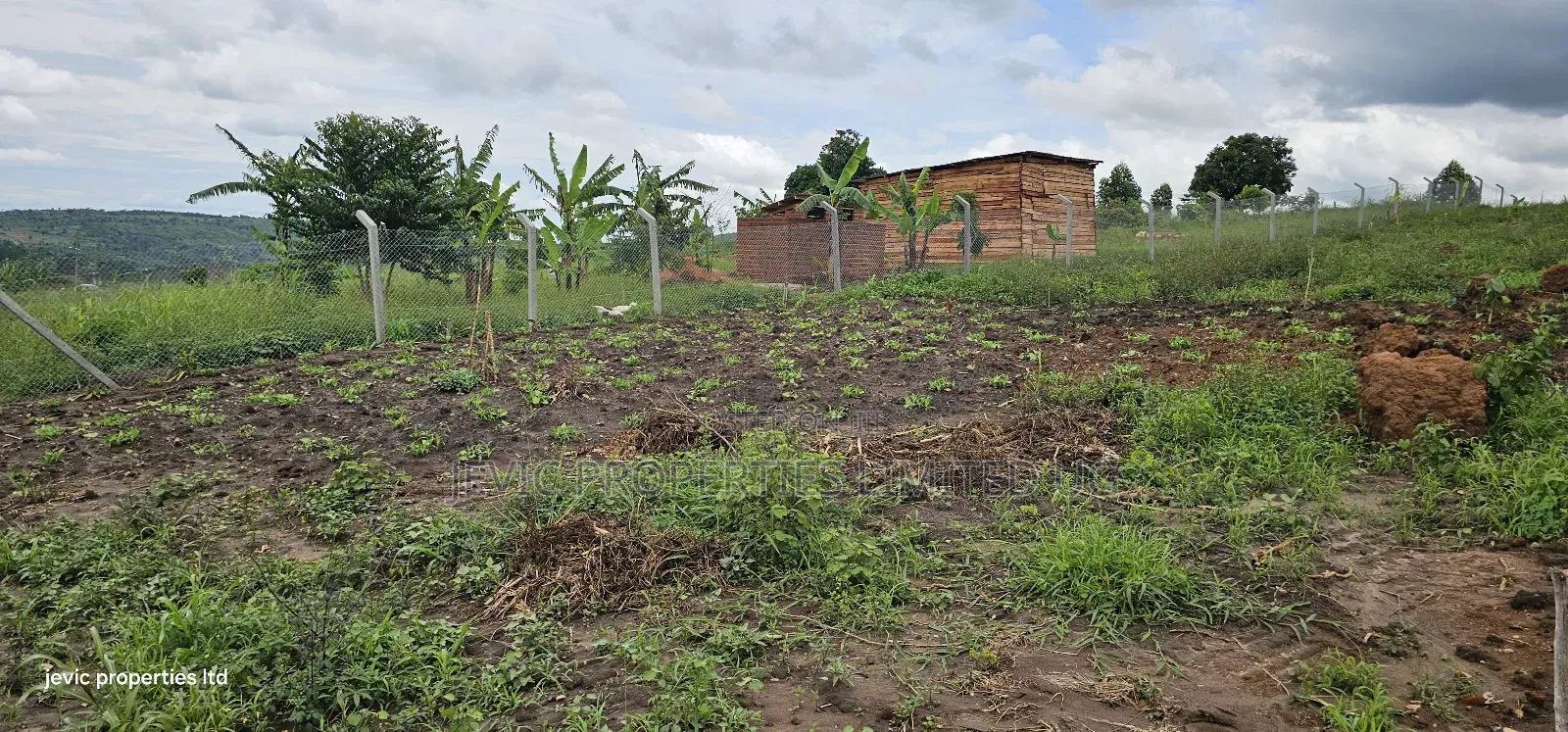 Cheap Plots for Sale at Namayumba in Namayumba