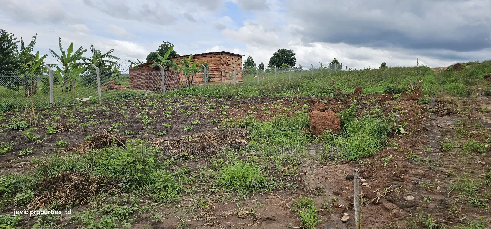 Cheap Plots for Sale at Namayumba in Namayumba