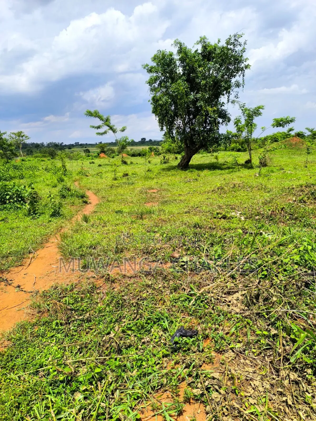 200acres of Land on Sale in Nakasongola in Kakooge
