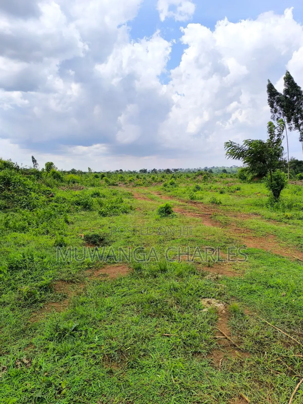 200acres of Land on Sale in Nakasongola in Kakooge
