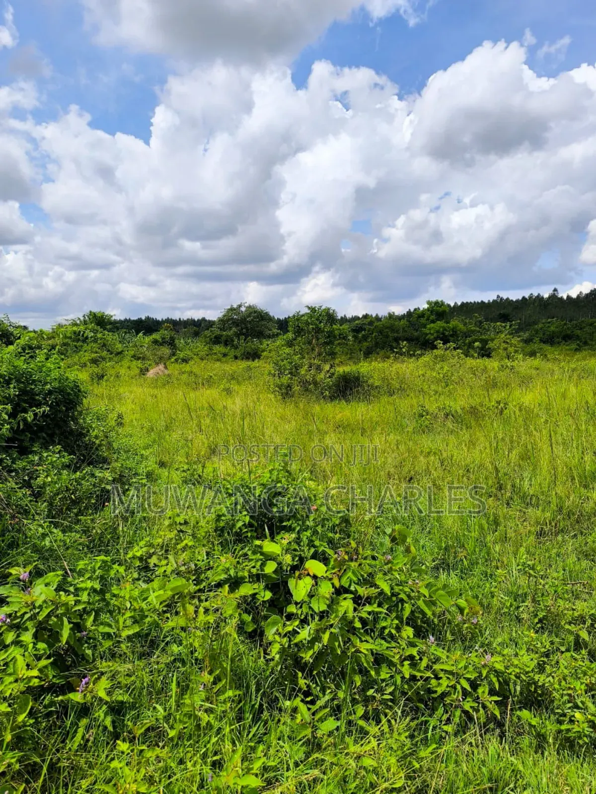 200acres of Land on Sale in Nakasongola in Kakooge