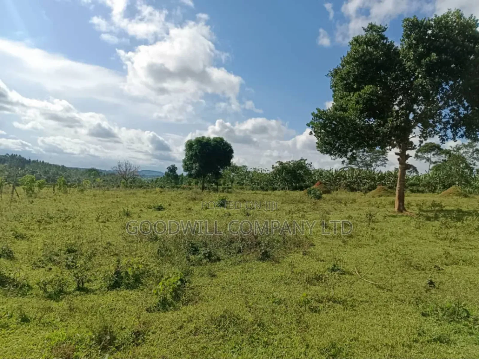 9 Acres of Land in Nkokonjeru Buikwe in Central Division