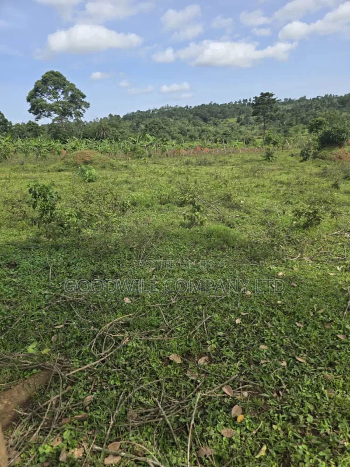 9 Acres of Land in Nkokonjeru Buikwe in Central Division