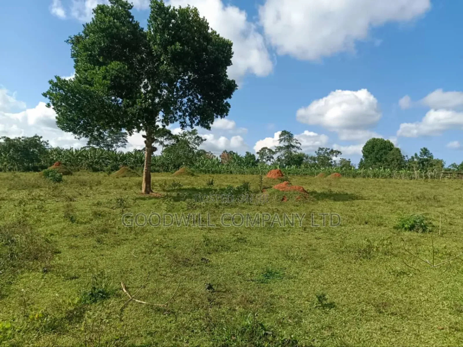 9 Acres of Land in Nkokonjeru Buikwe in Central Division