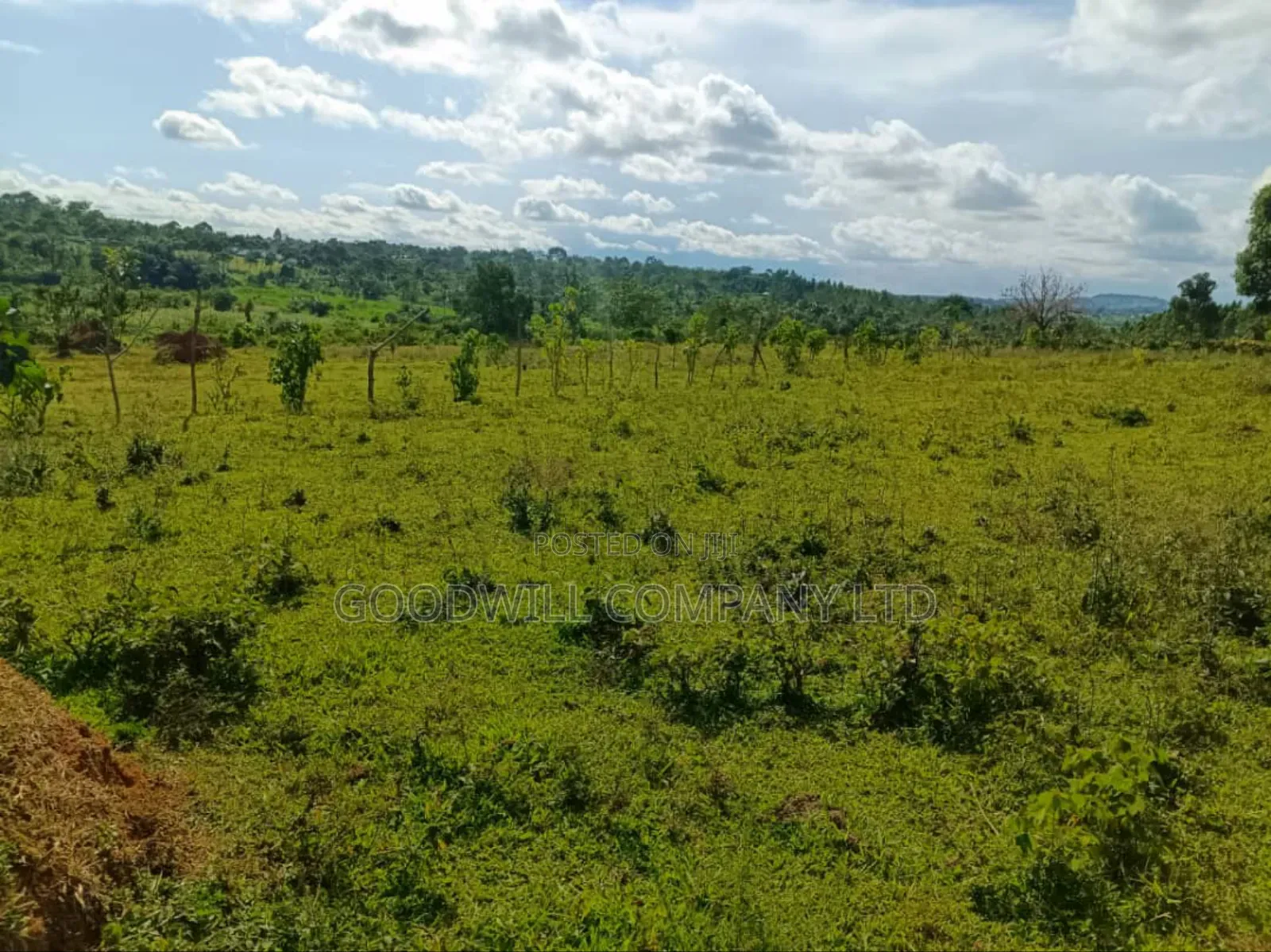 9 Acres of Land in Nkokonjeru Buikwe in Central Division