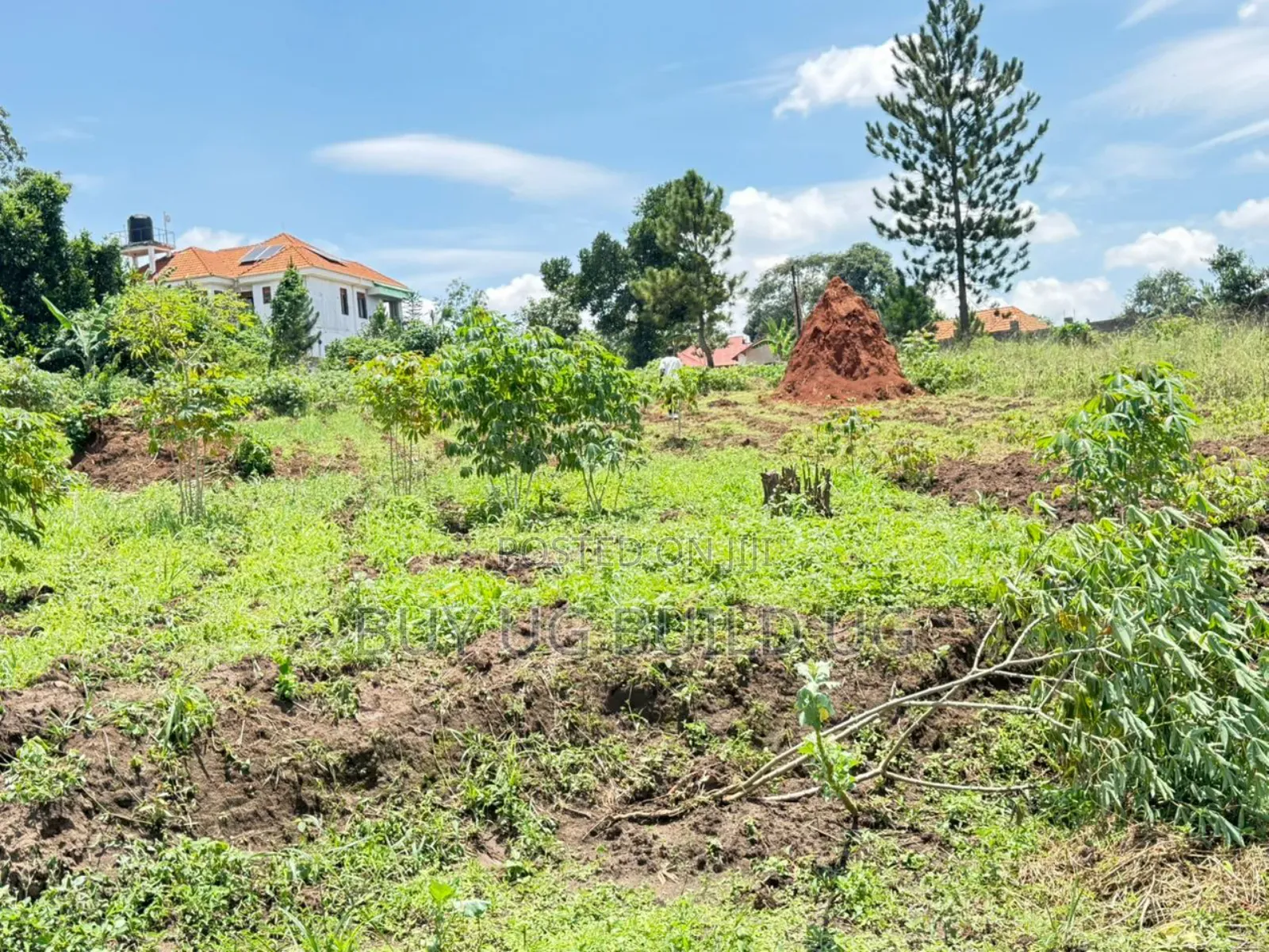 4 Acres of Land for Sale Located in Kira at 300m Per Acre Private Mailo in Central Division