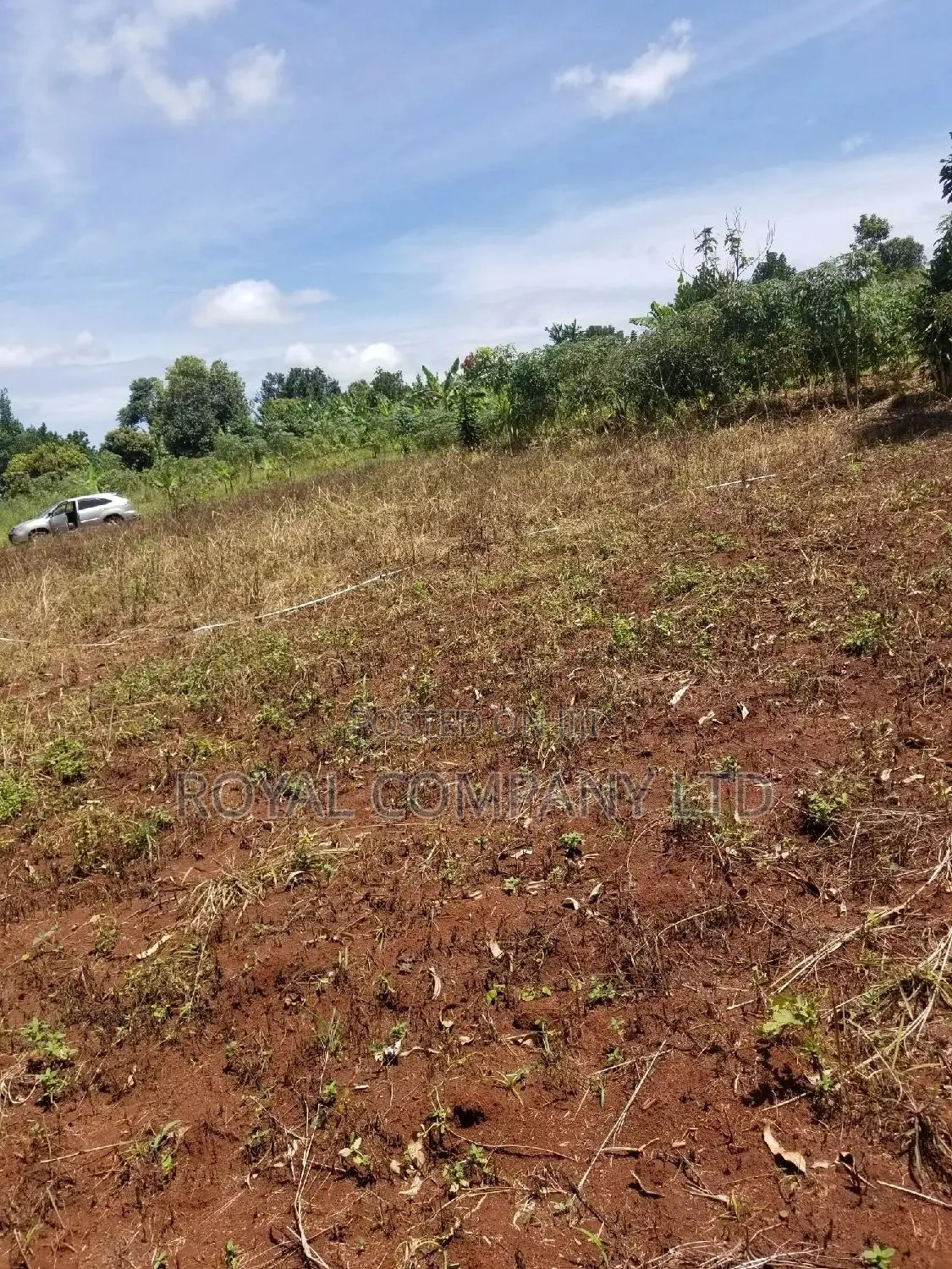 A Plot of Land 50by100 in Mpigi in Central Division
