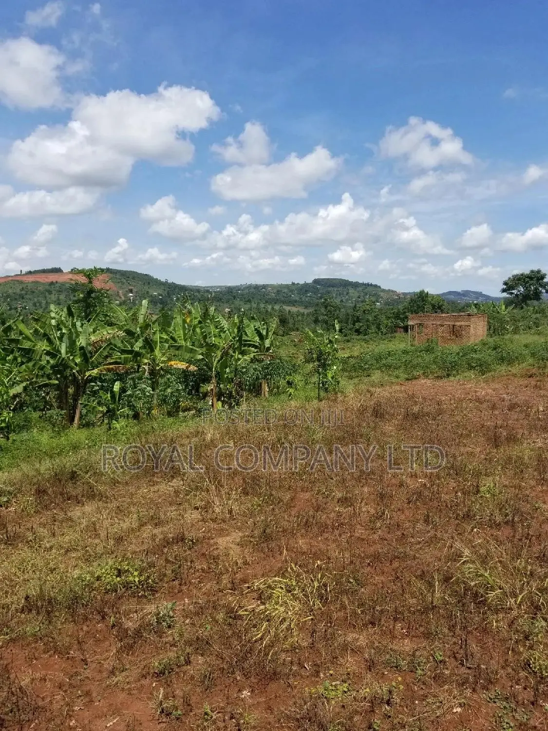 A Plot of Land 50by100 in Mpigi in Central Division