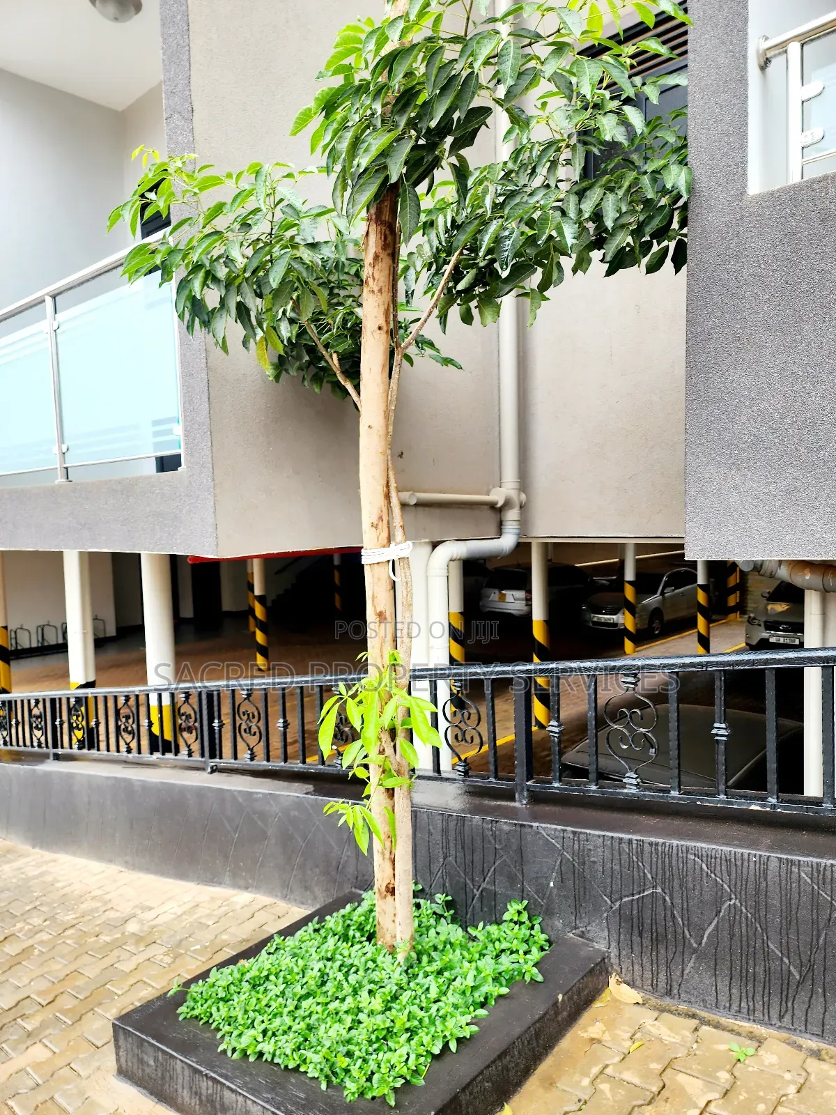 1bdrm Apartment in Kira Mulawa for rent in Kira