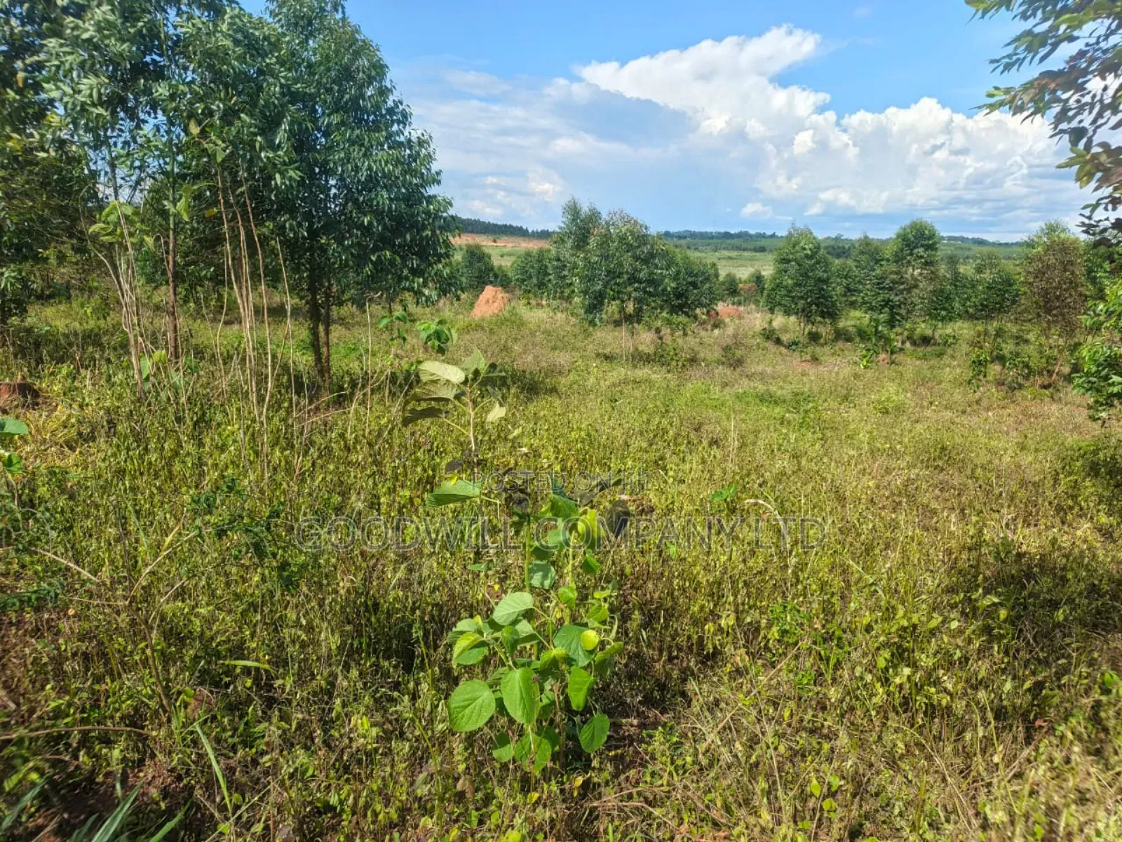 9 Acres of Land in Namanve Industrial Park in Central Division