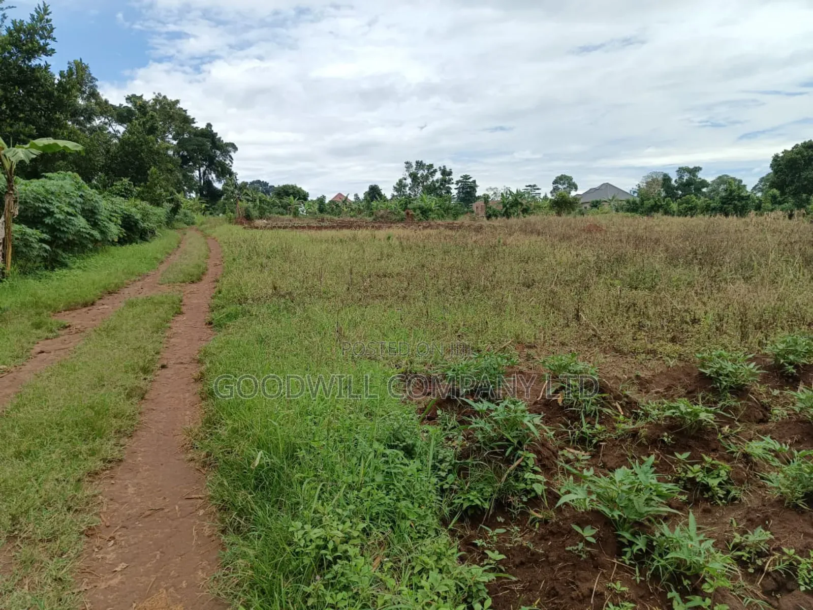 12 Acres of Land in Kijabijjo Gayaza in Central Division