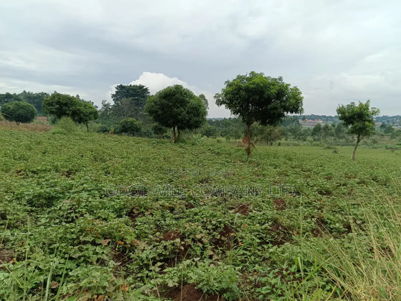 12 Acres of Land in Kijabijjo Gayaza in Central Division