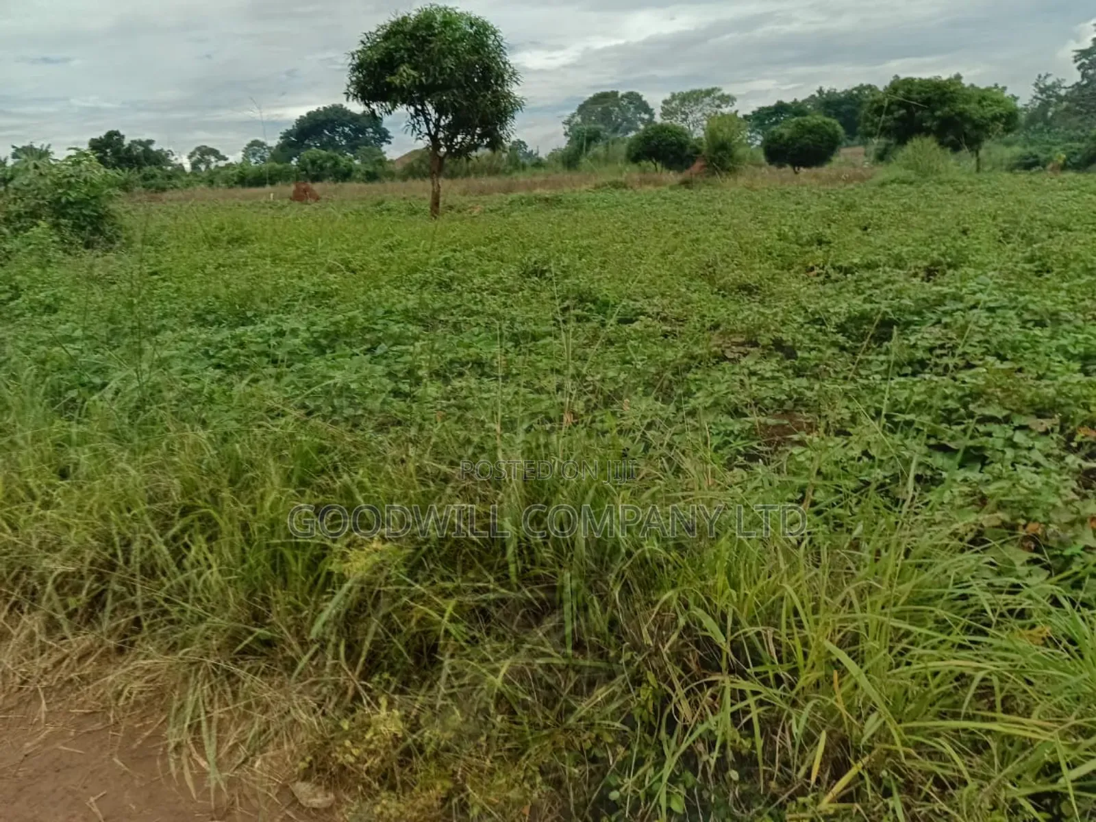 12 Acres of Land in Kijabijjo Gayaza in Central Division