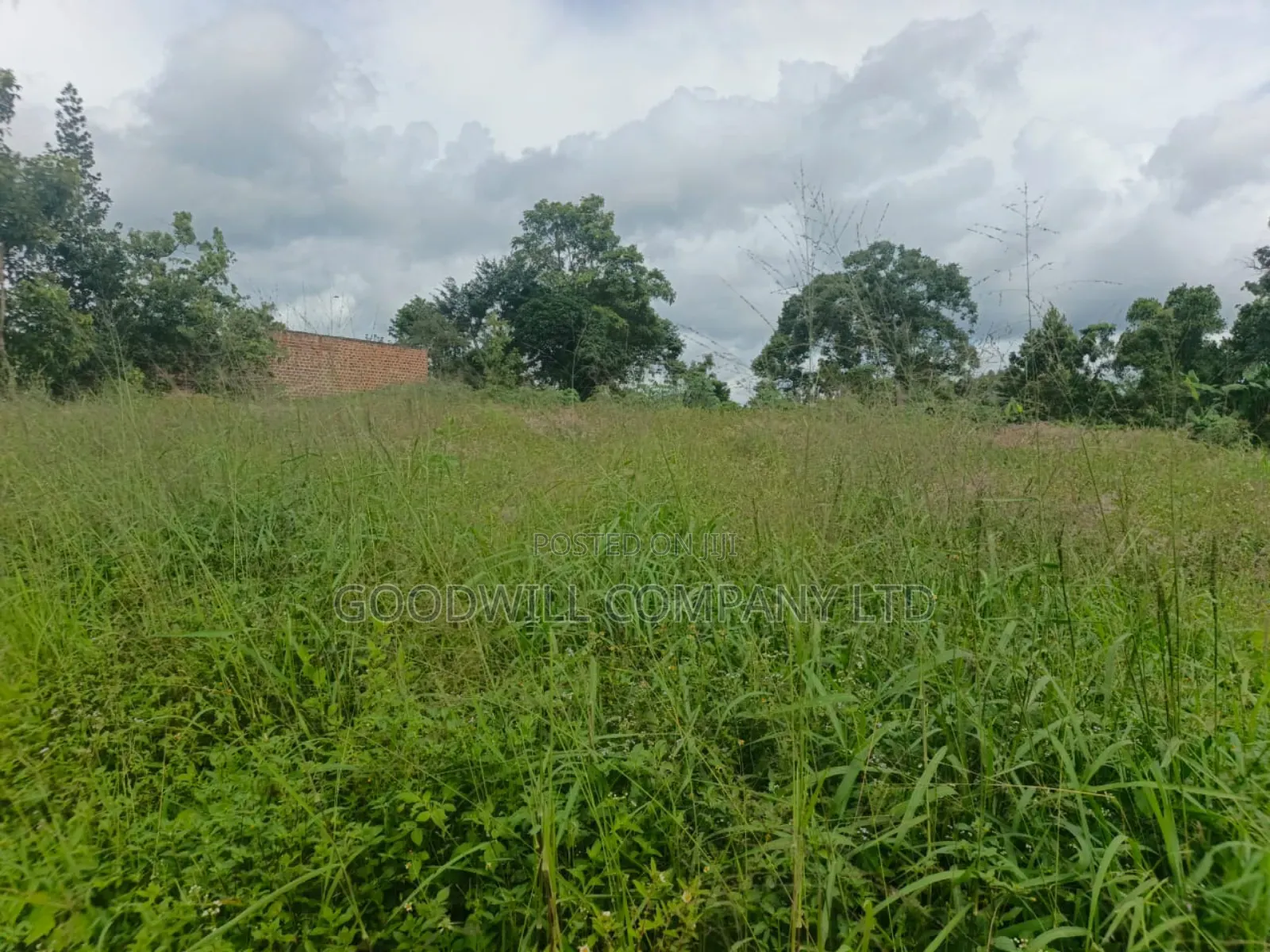 5 Acres of Land in Namaiba Mukono on Katosi Rd in Central Division
