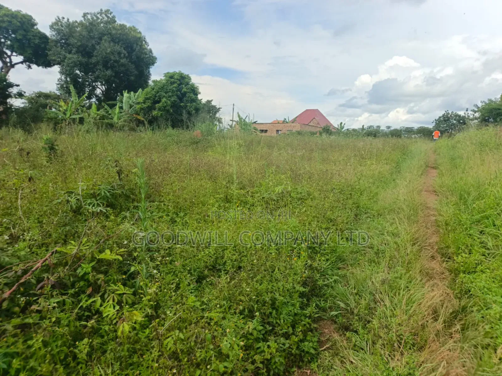 5 Acres of Land in Namaiba Mukono on Katosi Rd in Central Division