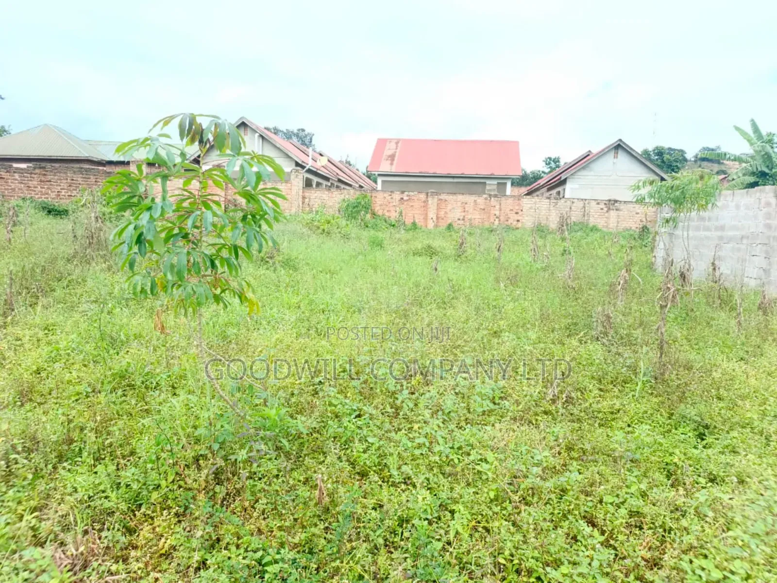 28 Decimals Plot of Land Seeta Namilyango in Central Division