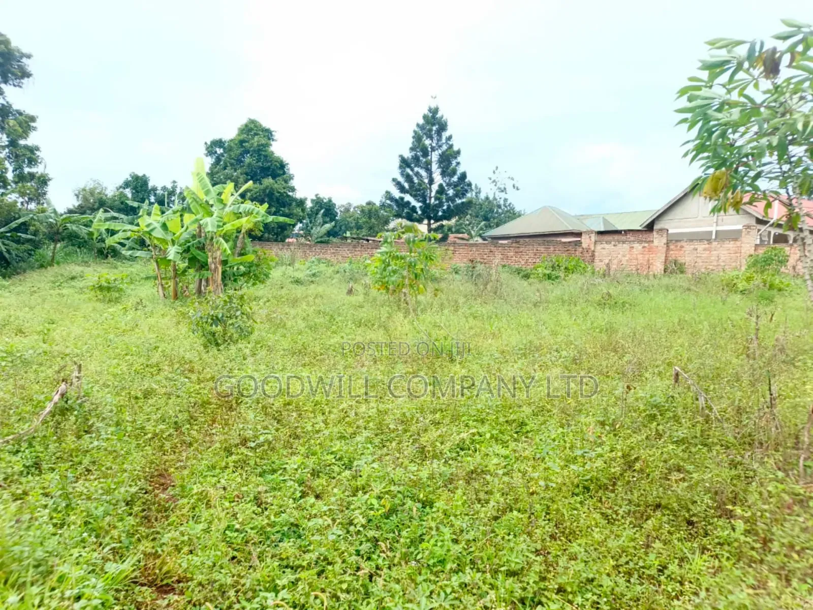 28 Decimals Plot of Land Seeta Namilyango in Central Division